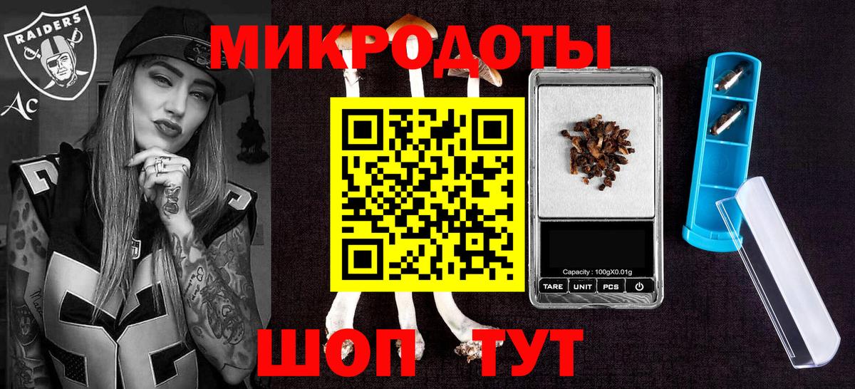 Муром  Псилоцибиновые грибы прущие грибы  Вход с VPN  Псилоцибиновые грибы прущие грибы 